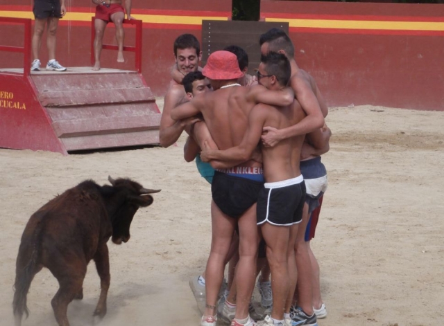  With the calf 